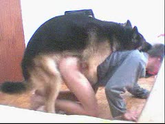Gay beastiality porn video with dog